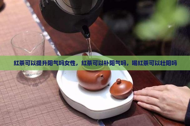红茶可以提升阳气吗