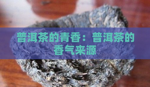 普洱茶的青香是什么香料
