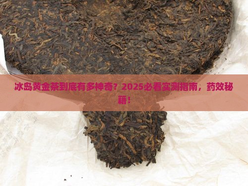 冰岛黄金茶的药效作用