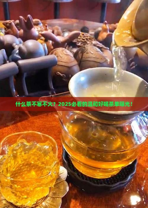 什么茶不寒不火
