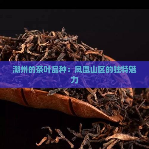 潮州的茶叶品种