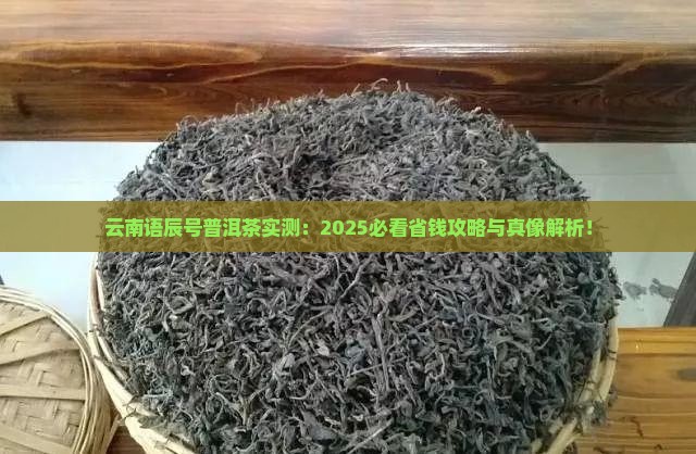 云南语辰号普洱茶