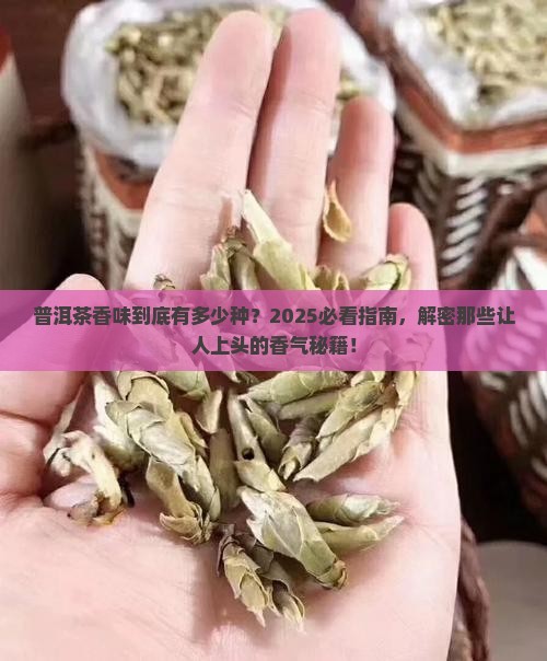 普洱茶香味有几种