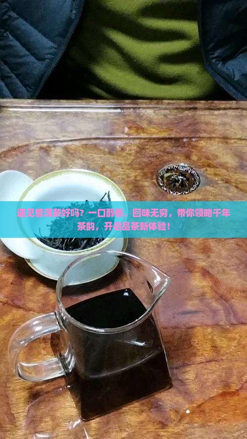遇见普洱茶好吗