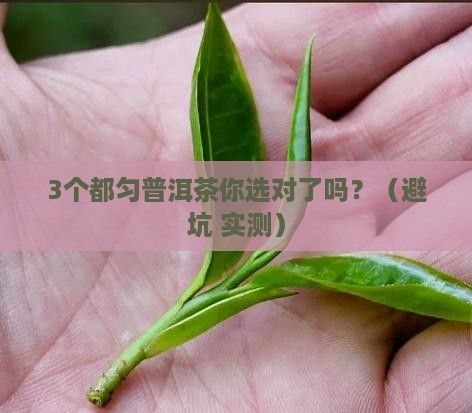 都匀普洱茶品牌