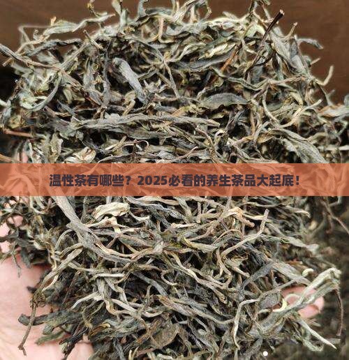 温性茶有哪几种