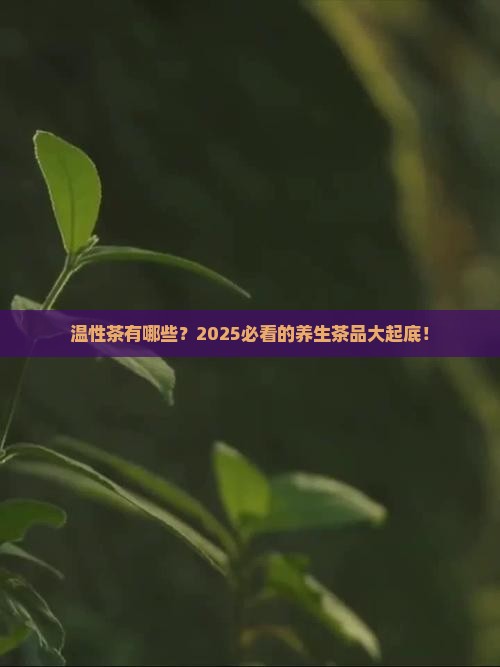 温性茶有哪几种