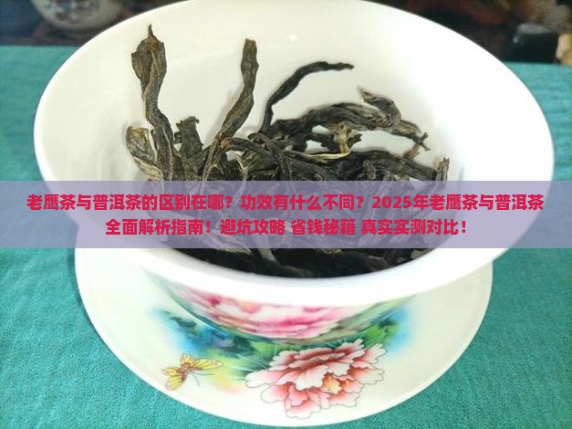 老鹰茶与普洱茶的区别与功效