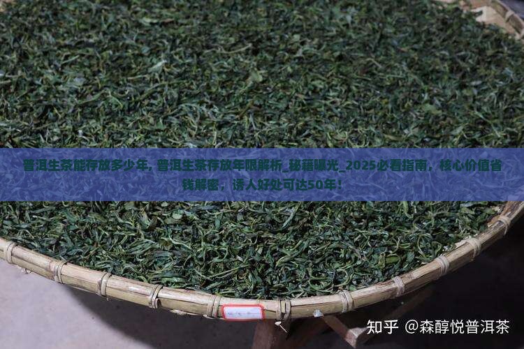 普洱生茶能存放多少年
