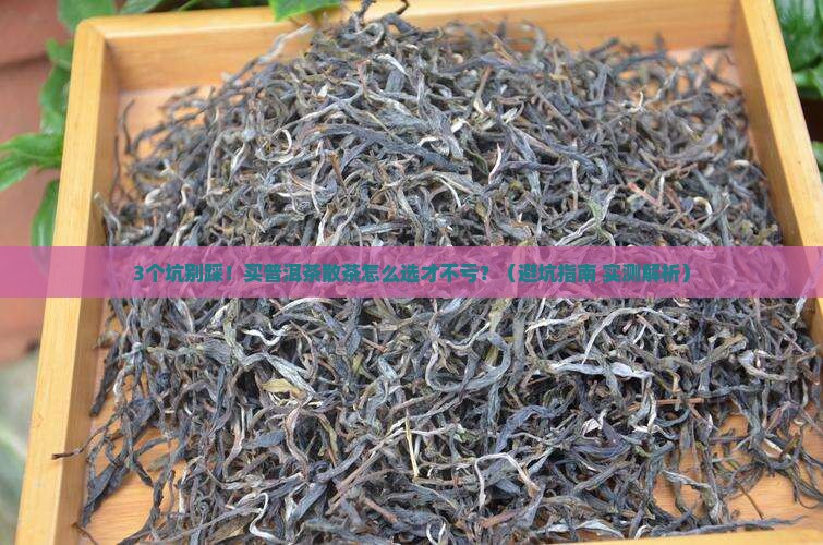 购买购普洱茶散茶