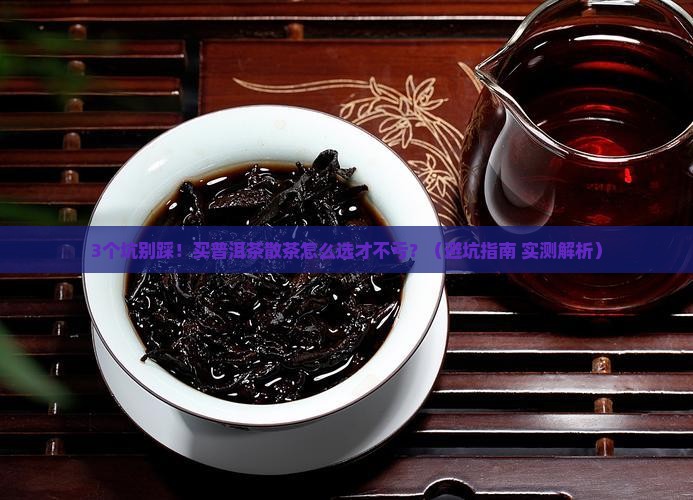 购买购普洱茶散茶