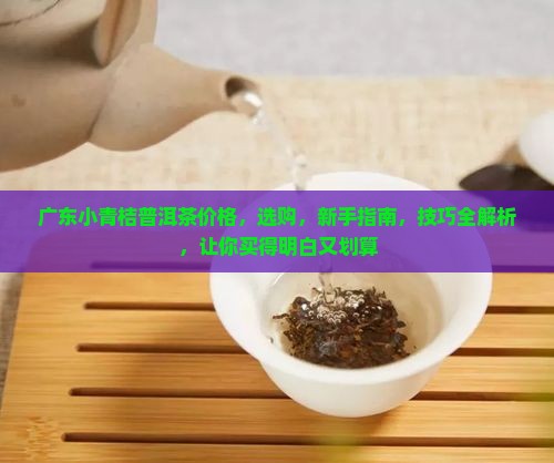 广东小青桔普洱茶价格