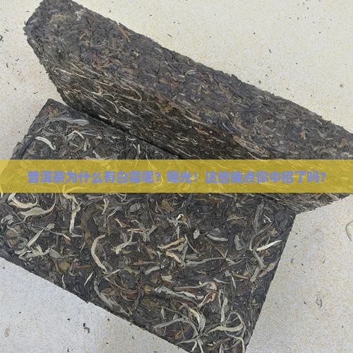 普洱茶为什么有白霜呢怎么回事