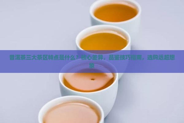普洱茶三个大茶区特点是什么
