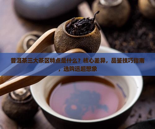 普洱茶三个大茶区特点是什么