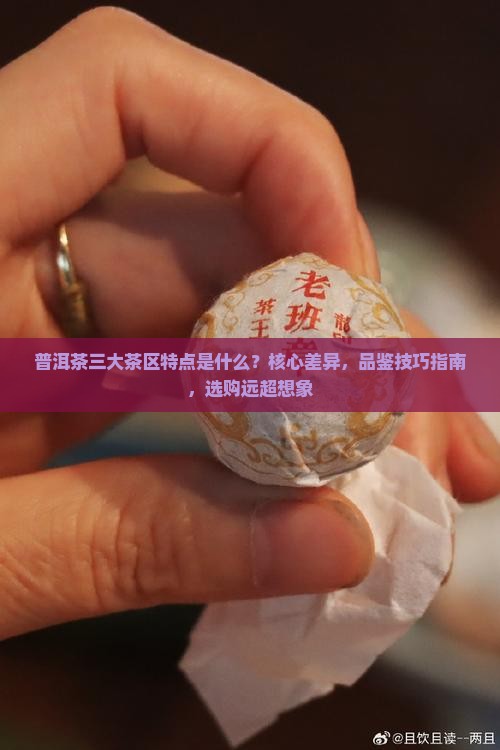 普洱茶三个大茶区特点是什么