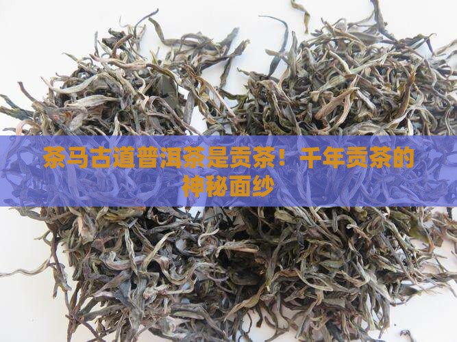 茶马古道普洱茶是贡茶