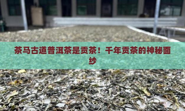 茶马古道普洱茶是贡茶