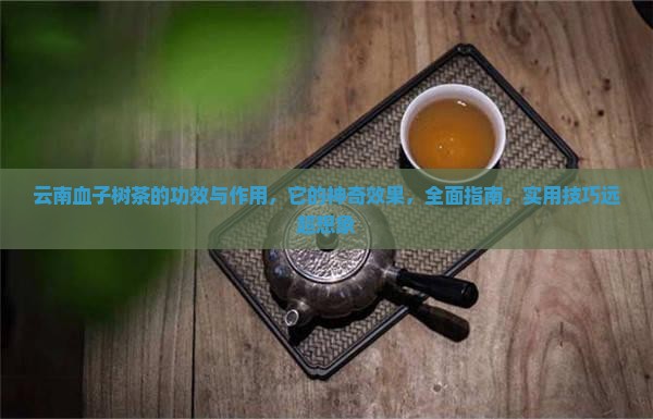 云南血子树茶的功效与作用