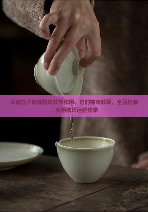 云南血子树茶的功效与作用