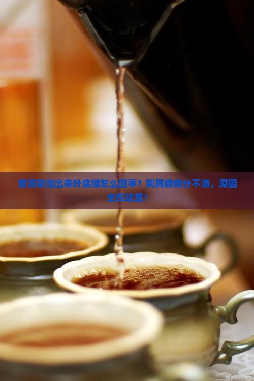 普洱茶泡出来叶底绿怎么回事