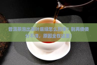 普洱茶泡出来叶底绿怎么回事