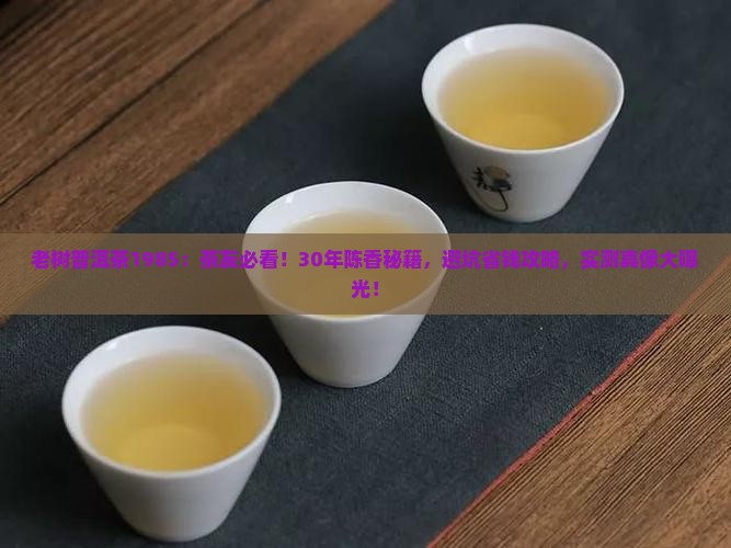老树普洱茶1985