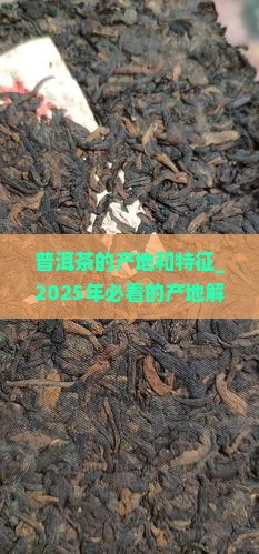 普洱茶的产地和特征