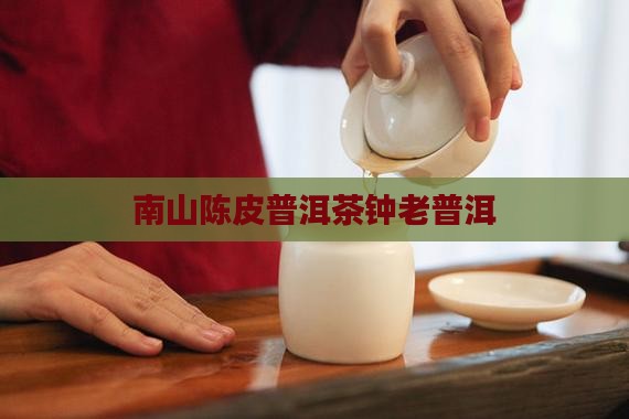 陈皮普洱茶钟老