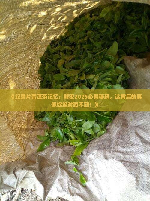 纪录片普洱茶记忆