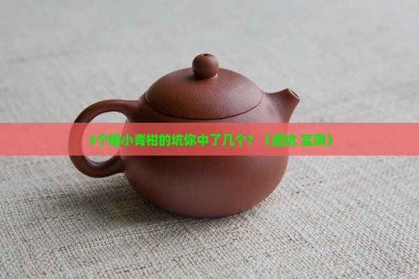 普洱茶中的小青柑