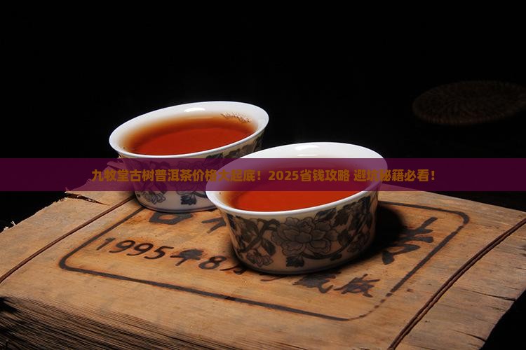 九牧堂古树普洱茶价格