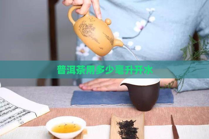 普洱茶用多少毫升开水