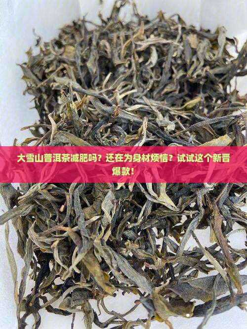 大雪山普洱茶减肥吗