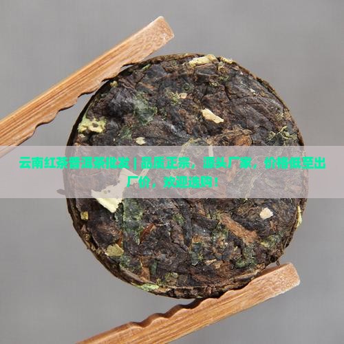 云南红茶普洱茶批发
