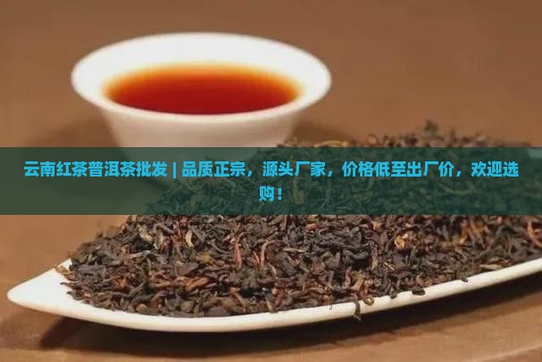 云南红茶普洱茶批发