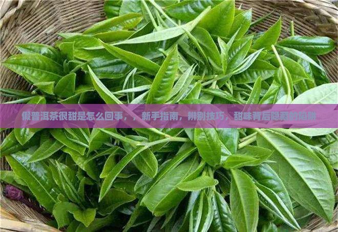 假普洱茶很甜是怎么回事