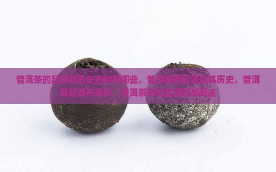 普洱茶的起源和历史古树