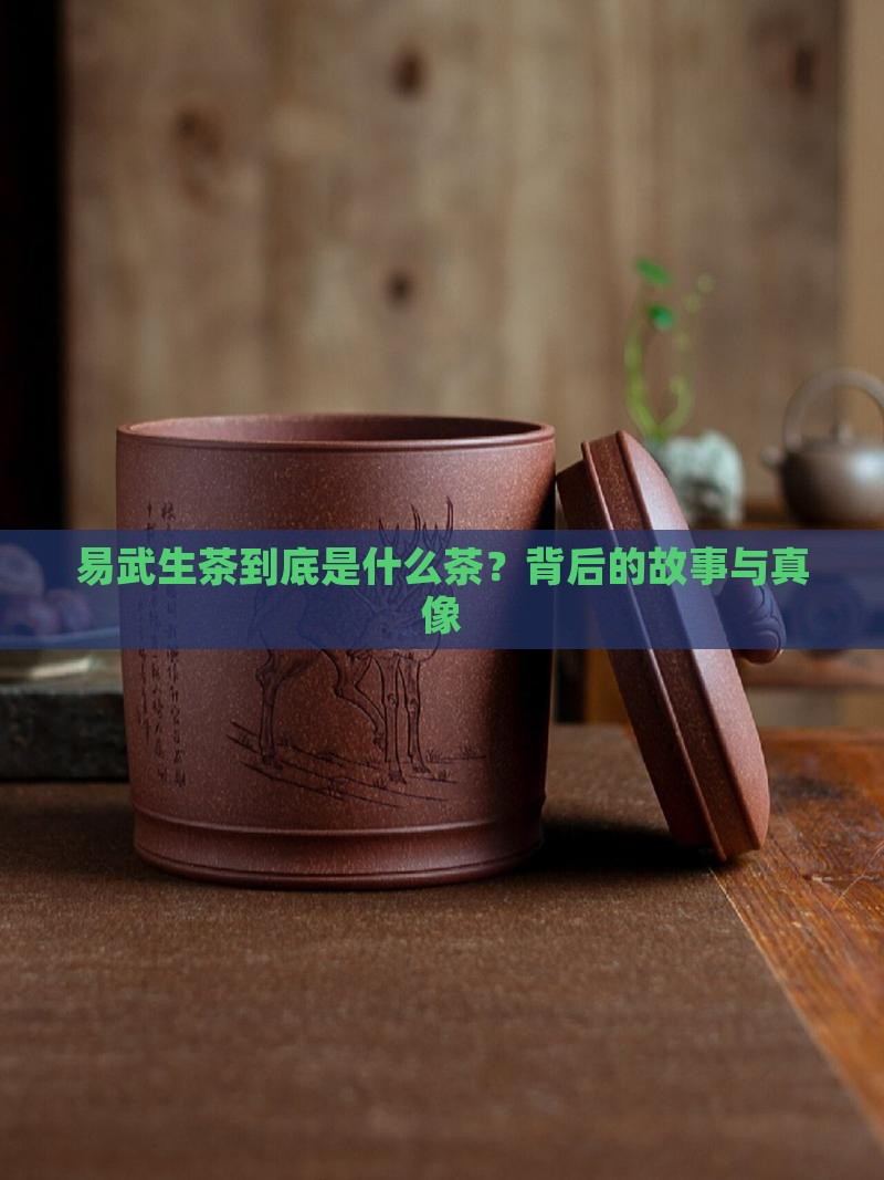 易武生茶是什么茶