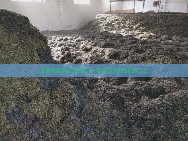 普洱茶有茶沫压成的吗