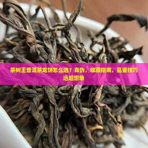 茶树王普洱茶龙饼
