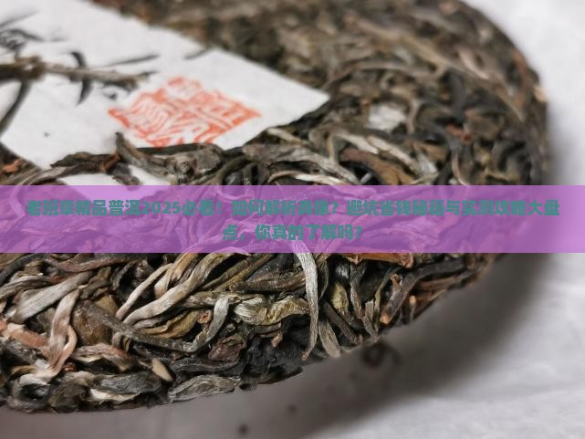 老班章精品普洱