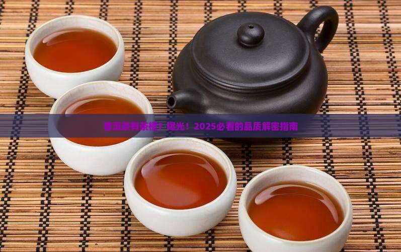 普洱茶有茶梗品质