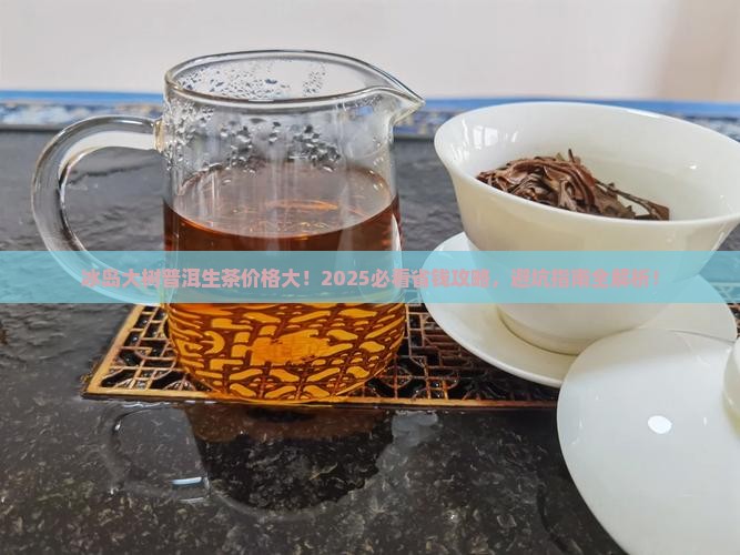 冰岛大树普洱茶生茶价