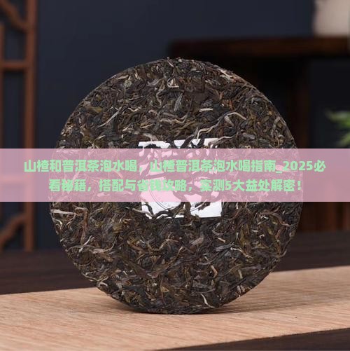 山楂和普洱茶泡水喝