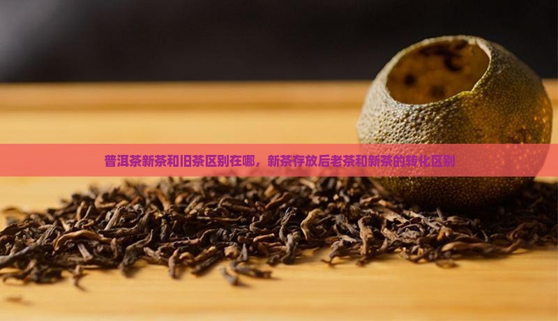 普洱茶新茶和旧茶区别在哪