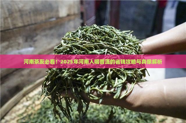 河南人会喝普洱茶吗