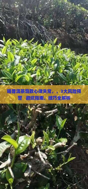 喝普洱茶导致心律失常