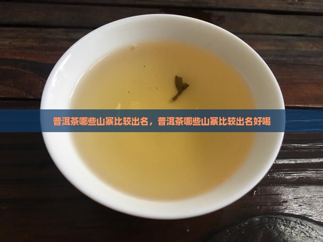 普洱茶哪些山寨比较出名