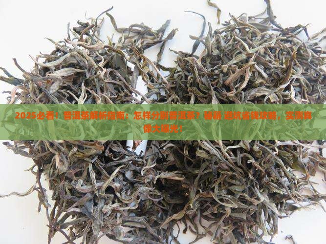 怎样分别普洱茶